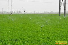 [ũ�����]΢��ˮ��ȶ�С����ֲ������Ƶ