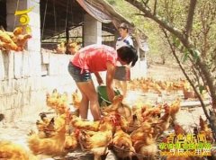 �Ĵ��Ͻ������ò���������������30��