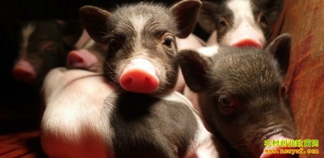 �Ĵ���̨���츣����������߳��¸�·