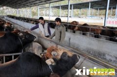 ��������ظ�ũ�崴ҵ��ţ�¸���