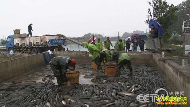 [�¸���]�㽭�������ĸ�����һ�����1000��Ԫ