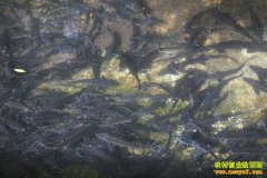 ����崲���������ֳ����ɾ��¸�Ů����