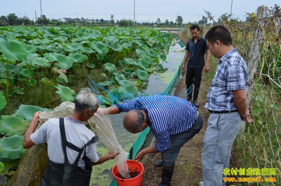 [ÿ��ũ��]ź����ֳС��Ϻ��׬Ǯ������