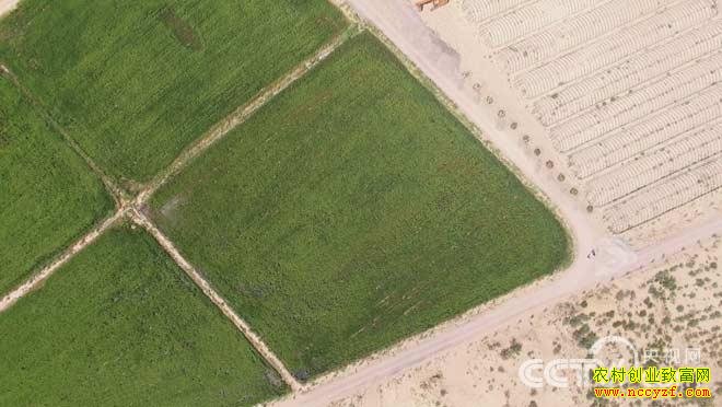 [��ɫʱ��]ɳĮ��ˮ�� ����������