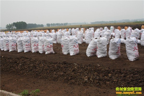 ������Ϊ��