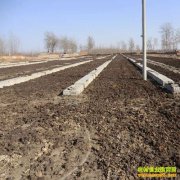 ����׬Ǯ��Ŀ��������Ϊ������ߴ�500Ԫ/��