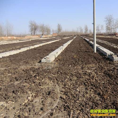 ������Ϊ��