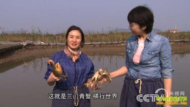 [�¸���]�㽭̨�ݳ������������ץɶ��׬Ǯ