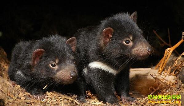 [�Ƽ�Է]δ��ѱ�������ô��