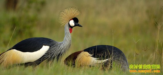 [ÿ��ũ��]�ں�����Ƹ���