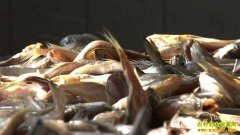 [�¸���]�Ž�ũ��Ʒ���̵߸���ͳ׬��һ����Ǯ