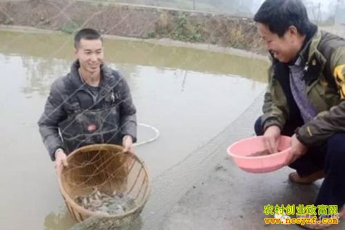 �Ĵ������������������������¸�