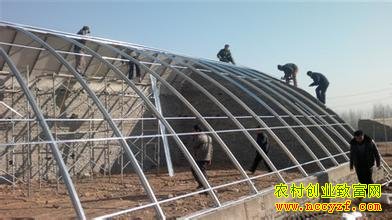 温室大棚建造图片