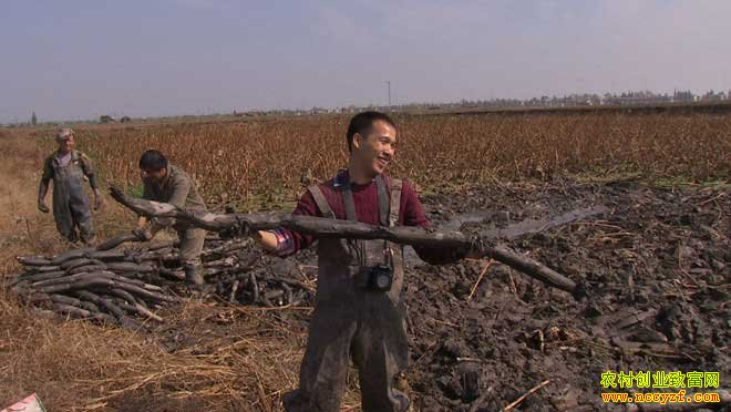 [�¸���]�������������������ź�ĲƸ�����