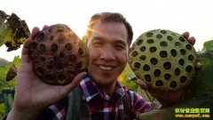 [�¸���]�����������������ź�ĲƸ�����