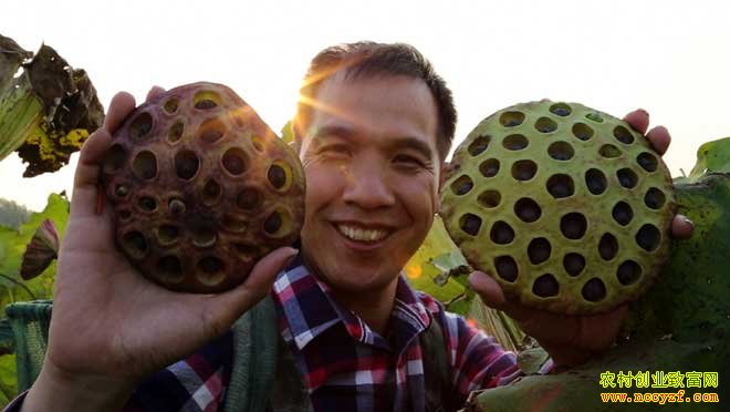 [�¸���]�������������������ź�ĲƸ�����