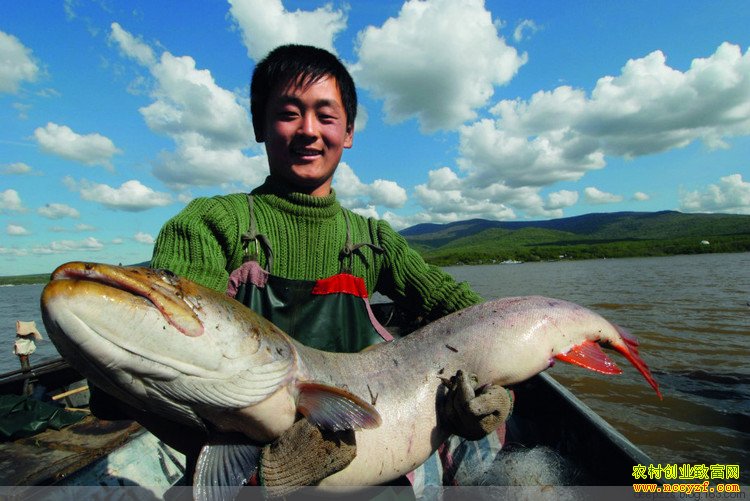 [�����е�]�������˿������Ƶ�������