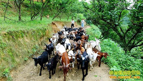 [�Ƽ�Է]һ��Ů�˵�����ʷ