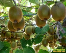 [ũ�����]����⨺������༼����Ƶ