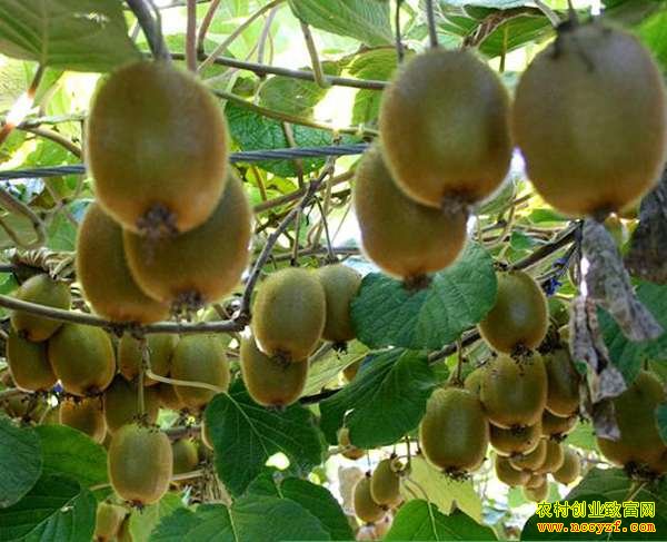 ����⨺���ͼƬ