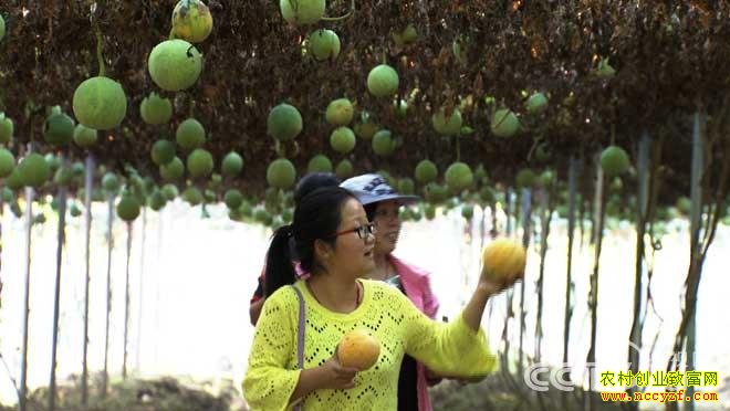 [�¸���]����Ǳɽ�½�������ֲ�¸�����Ƶ