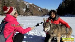 [�¸���]�½���ľ������������ǲƸ�����