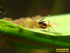 [ũ�����]������˹��������������漼����Ƶ