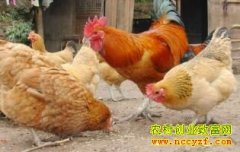 �½����ų��¹���Ѧ�������������ͬ���¸���