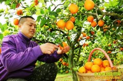 �Ĵ������侯��ʤ���紴ҵ�������Բ�̻ĵ�