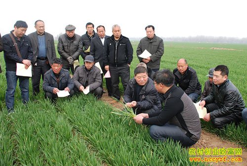 ũ�崴ҵ�¸���Ŀ��2016��ũ�崴ҵ�����