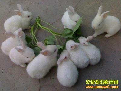 ������没