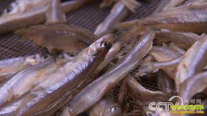 [�¸���]�����ٽ���ҫ�м޶����������