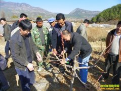 [ũ�����]���������޼�������Ƶ