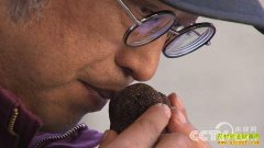 [�¸���]�Ĵ���֦��̷�������Ѱ������¶׬Ǯ