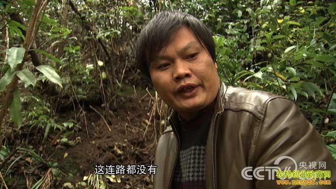 ��ѧ��������ֲ�¸�����Ƶ