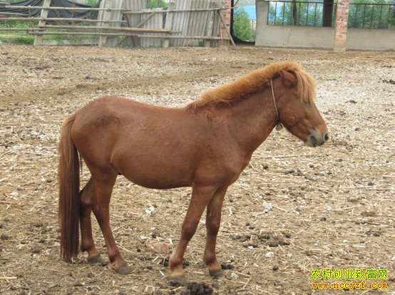 �±�����ͼƬ