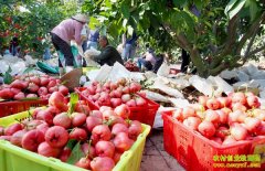 [ÿ��ũ��]����һ�������