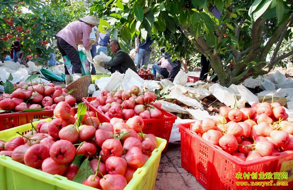 [ÿ��ũ��]����һ�������