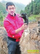 ����������Ծ����ֳ����¸� һö��ŵ��ۼ�180Ԫ