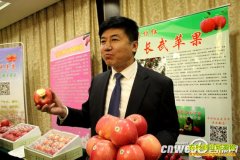 ����8�س���΢����ƻ��