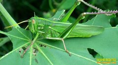 [ÿ��ũ��]���˹�Ŀ�࿴�ġ��вƳ桱