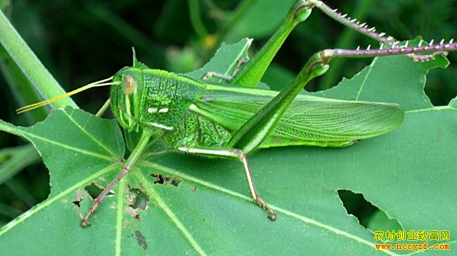 [ÿ��ũ��]���˹�Ŀ�࿴�ġ��вƳ桱