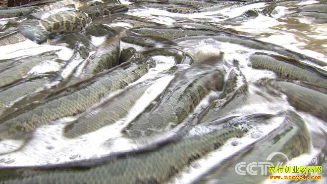 [�¸���]����׬Ǯ������������ΰ������ֳ�¸���