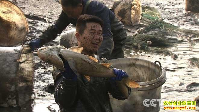 [�¸���]����׬Ǯ������������ΰ������ֳ�¸���