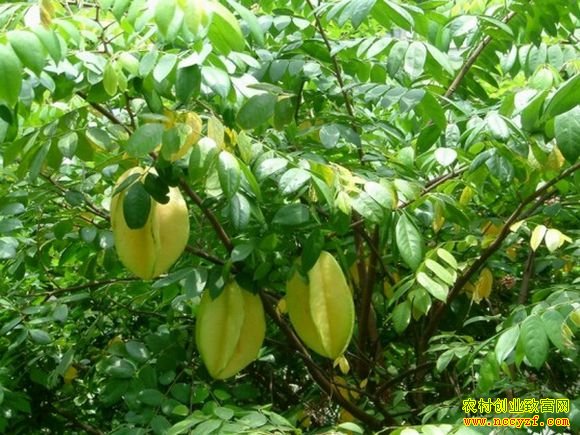 [ũ�����]���������һ�����༼��