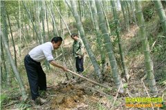 ���������м�������������ë��������ũ��ͬ�¸�