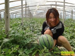 ������ֲʲô��׬Ǯ��2016����ֲҵǰ������