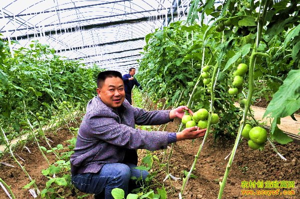 ɽ�����������������߲˴�ҵ���������¸�