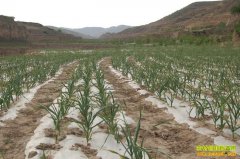 �����ִ���׬Ǯ��2016�������ֲǰ������