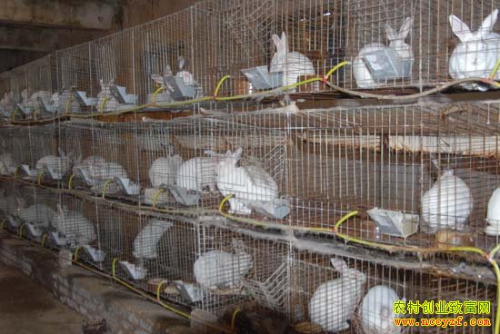 ���ϻ������ý㡱������̡����ֳ��ҵ·